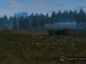 CU_Landscape_007_1200