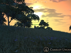 CU_Sunset