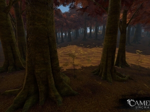 Fall_Biome_01