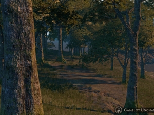 Road_011
