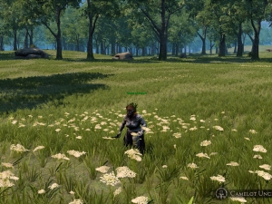 grass_flowers_update_lrg