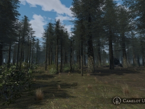 pine_vik_001_600
