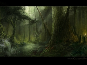 wp_forest_1920x1080